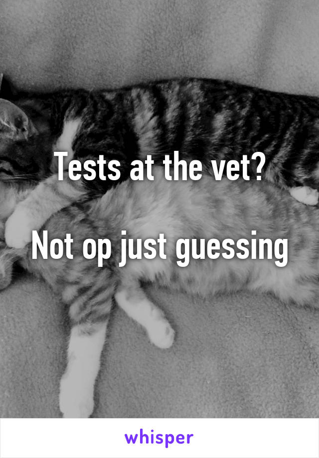 Tests at the vet?

Not op just guessing 