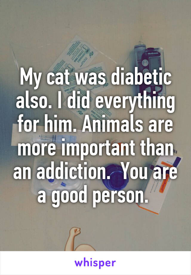 My cat was diabetic also. I did everything for him. Animals are more important than an addiction.  You are a good person. 