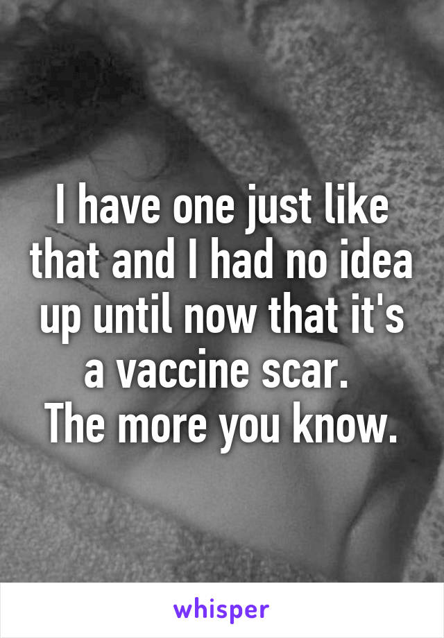 I have one just like that and I had no idea up until now that it's a vaccine scar. 
The more you know.