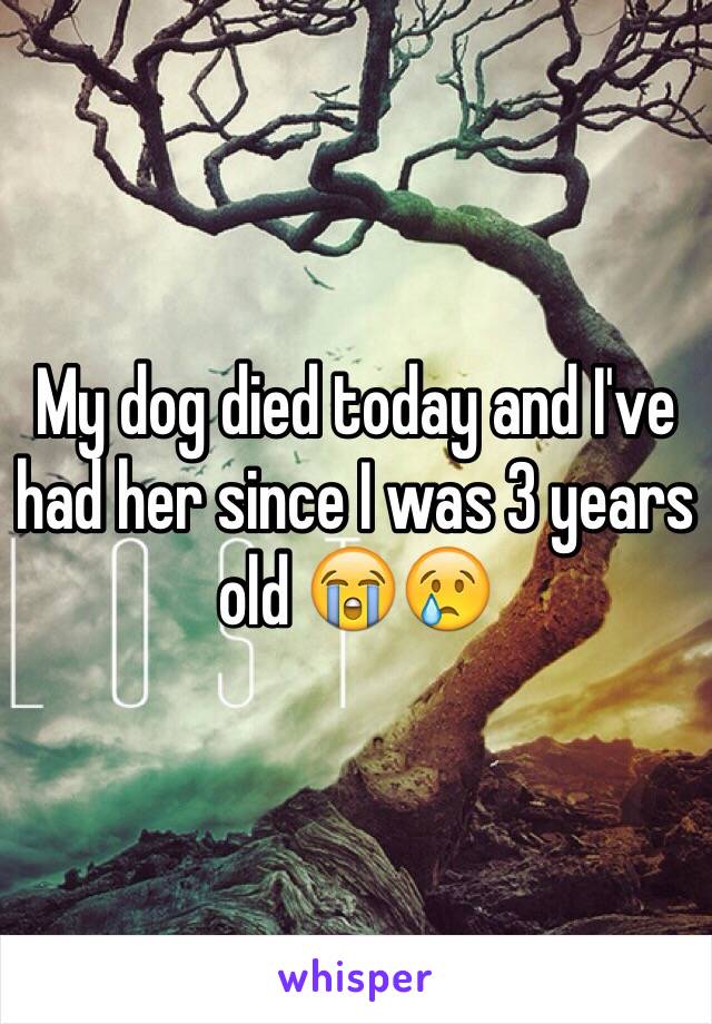 My dog died today and I've had her since I was 3 years old 😭😢