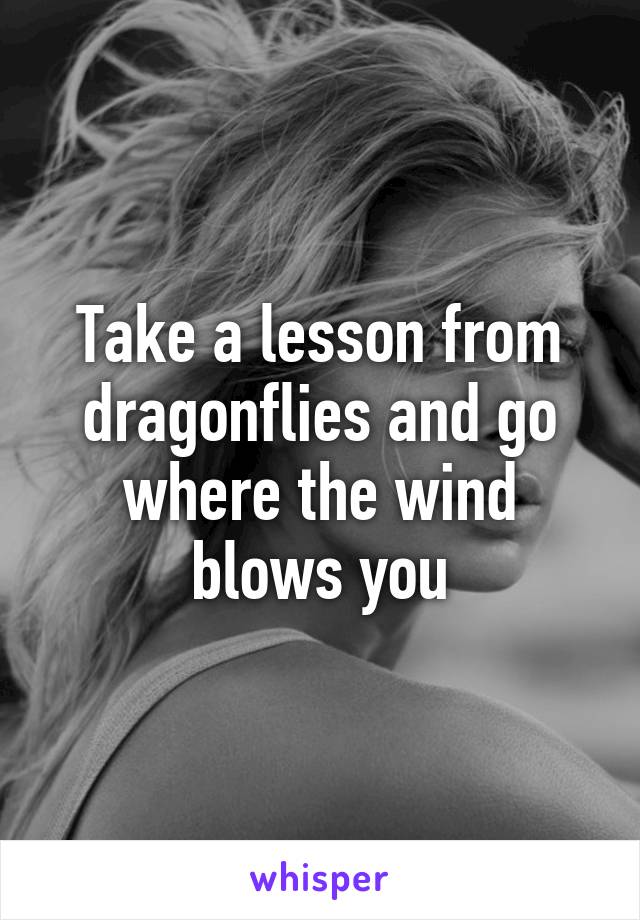 Take a lesson from dragonflies and go where the wind blows you