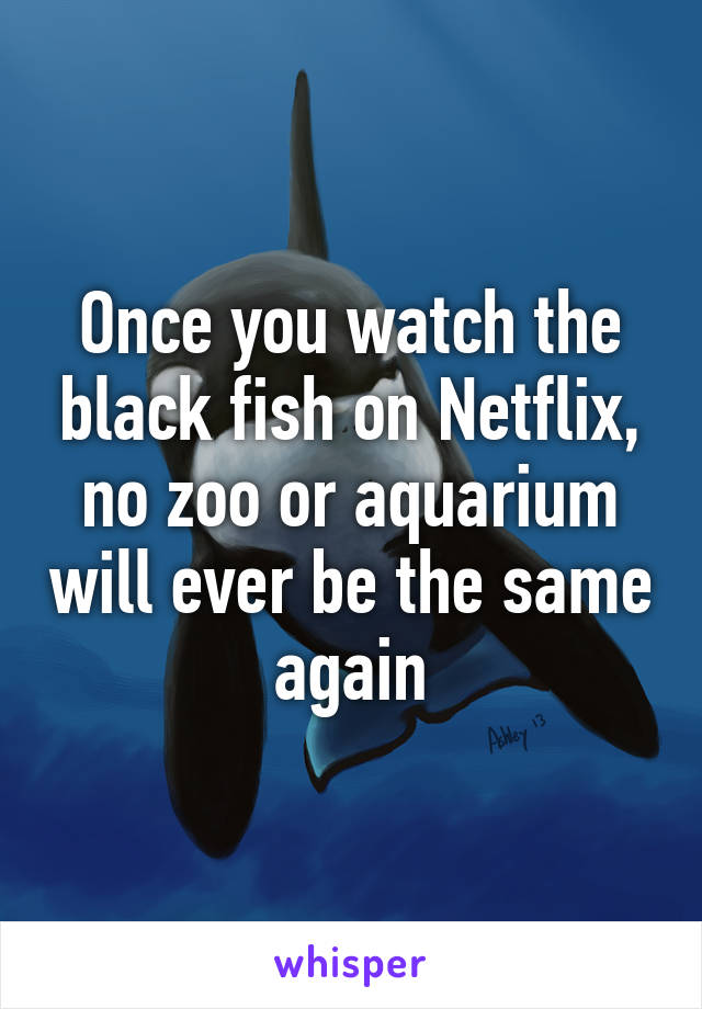 Once you watch the black fish on Netflix, no zoo or aquarium will ever be the same again