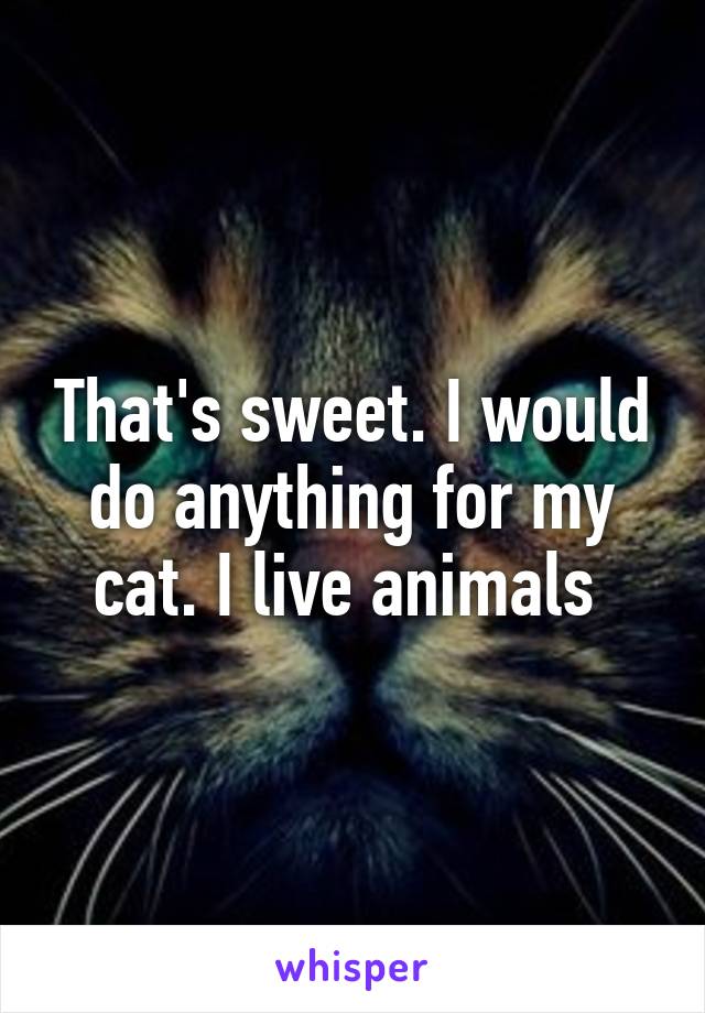 That's sweet. I would do anything for my cat. I live animals 