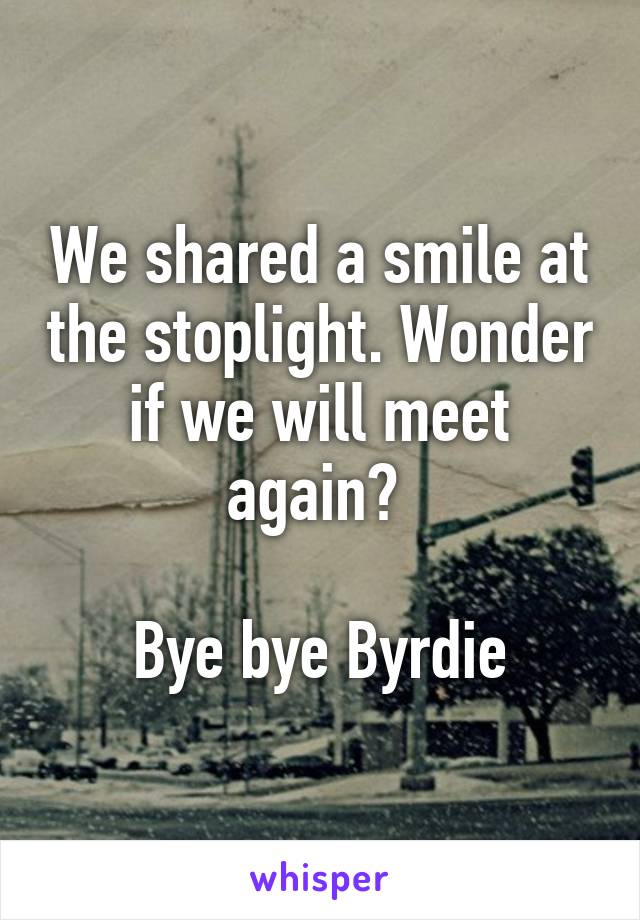 We shared a smile at the stoplight. Wonder if we will meet again? 

Bye bye Byrdie