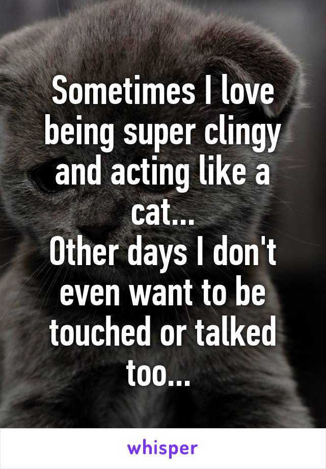 Sometimes I love being super clingy and acting like a cat...
Other days I don't even want to be touched or talked too... 