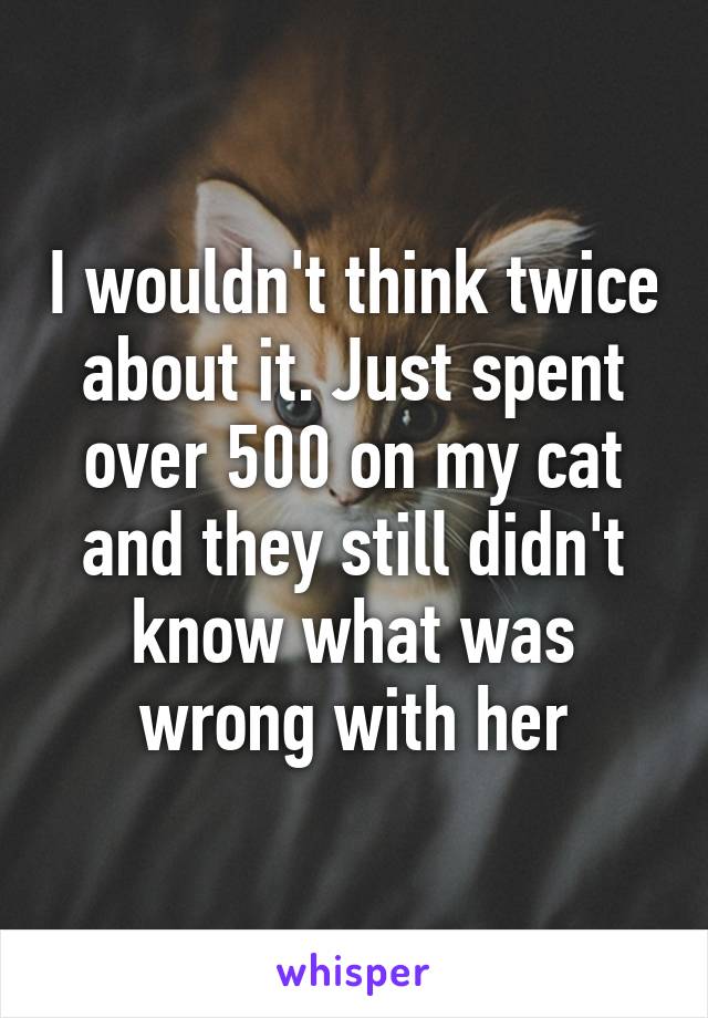 I wouldn't think twice about it. Just spent over 500 on my cat and they still didn't know what was wrong with her