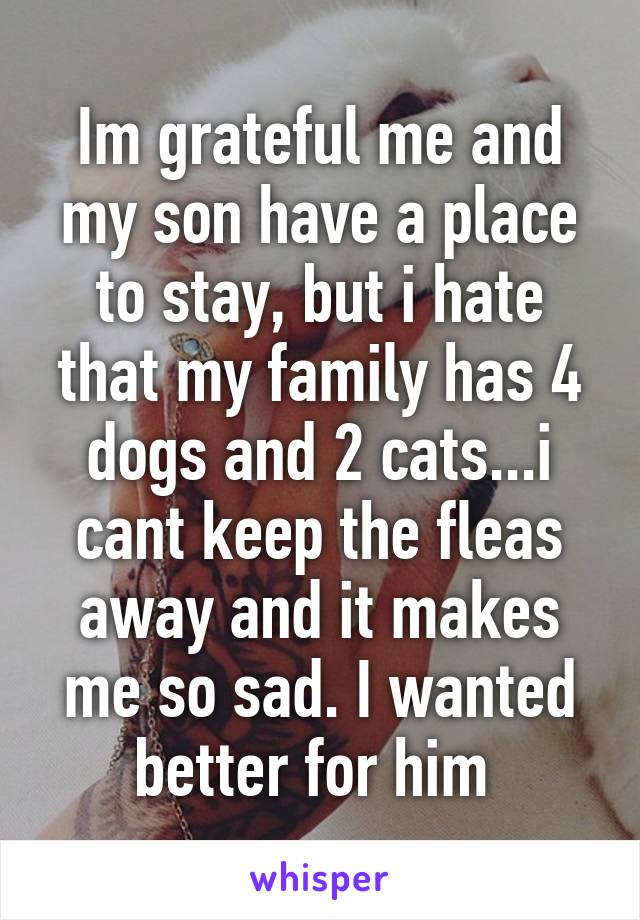 Im grateful me and my son have a place to stay, but i hate that my family has 4 dogs and 2 cats...i cant keep the fleas away and it makes me so sad. I wanted better for him 