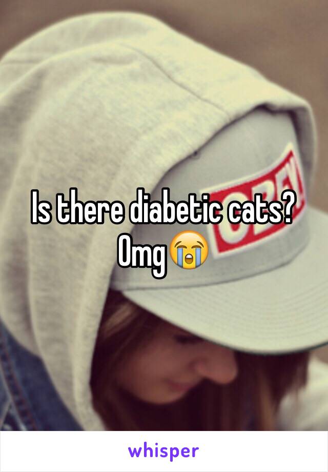 Is there diabetic cats? Omg😭