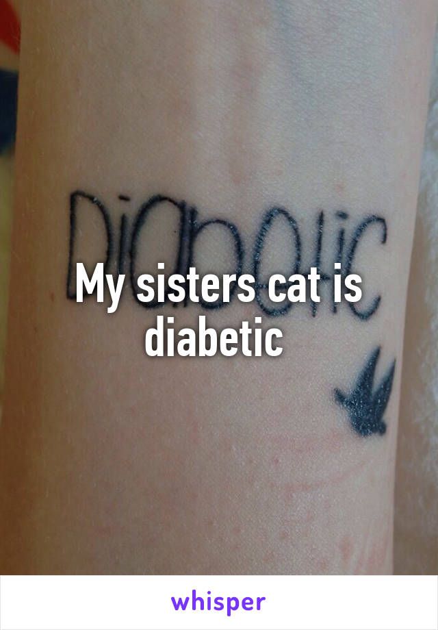 My sisters cat is diabetic 