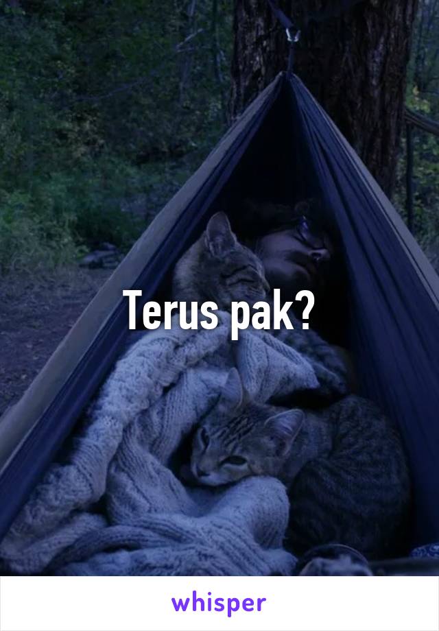 Terus pak?