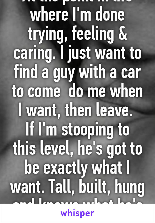 At the point in life where I'm done trying, feeling & caring. I just want to find a guy with a car to come  do me when I want, then leave. 
If I'm stooping to this level, he's got to be exactly what I want. Tall, built, hung and knows what he's doing.