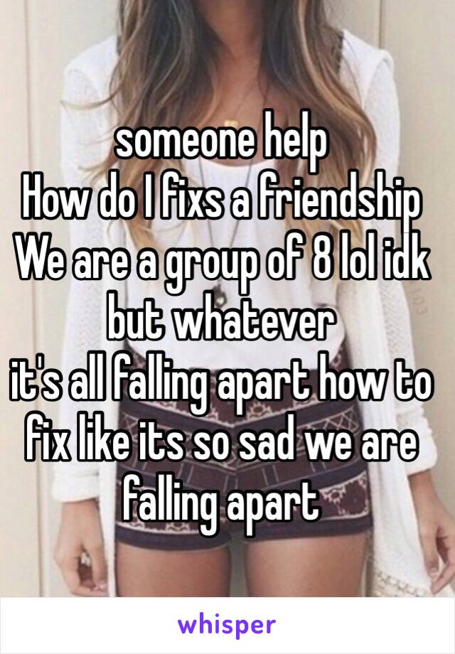 someone help
How do I fixs a friendship 
We are a group of 8 lol idk but whatever 
it's all falling apart how to fix like its so sad we are falling apart 