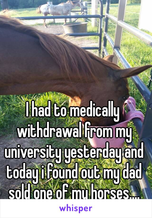 I had to medically withdrawal from my university yesterday and today i found out my dad sold one of my horses....