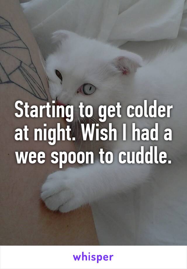 Starting to get colder at night. Wish I had a wee spoon to cuddle.