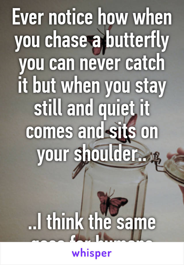 Ever notice how when you chase a butterfly you can never catch it but when you stay still and quiet it comes and sits on your shoulder..


..I think the same goes for humans