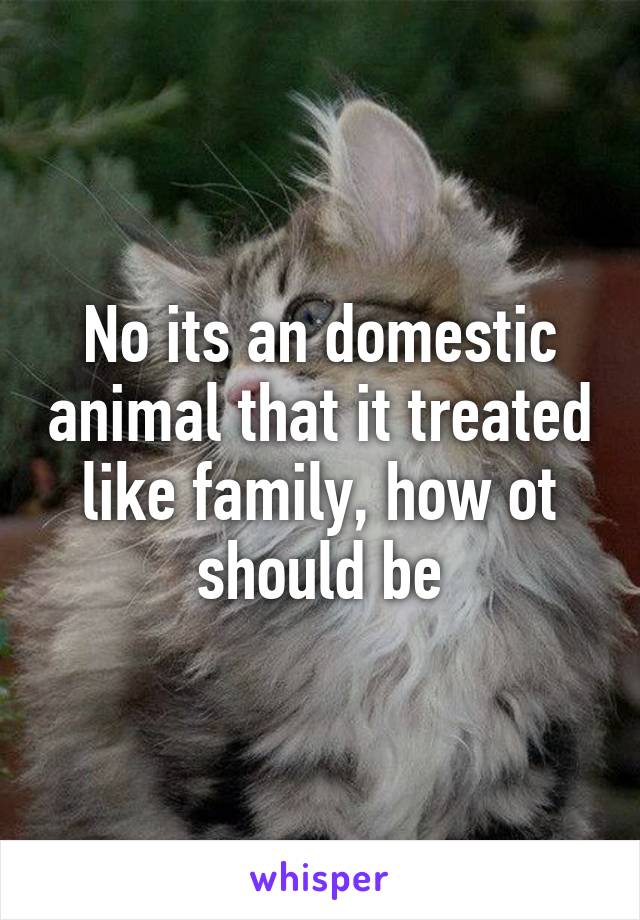 No its an domestic animal that it treated like family, how ot should be