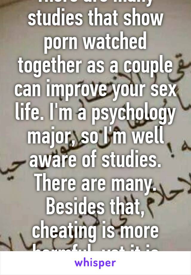 There are many studies that show porn watched together as a couple can improve your sex life. I'm a psychology major, so I'm well aware of studies. There are many. Besides that, cheating is more harmful, yet it is legal. 