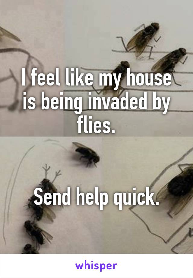 I feel like my house is being invaded by flies.


Send help quick.