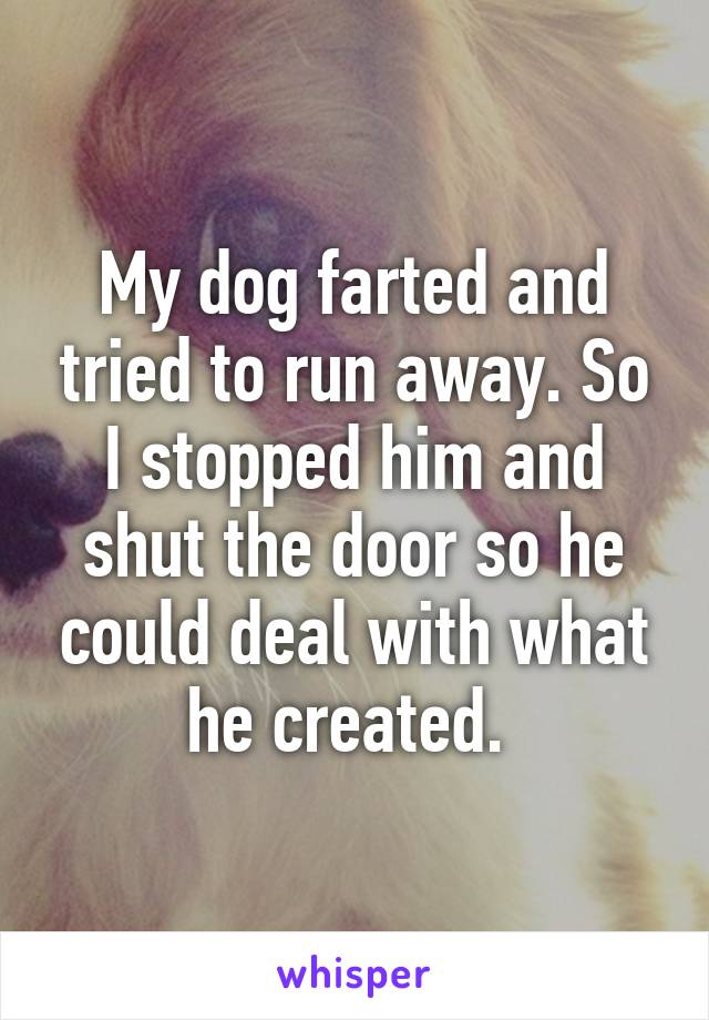 My dog farted and tried to run away. So I stopped him and shut the door so he could deal with what he created. 