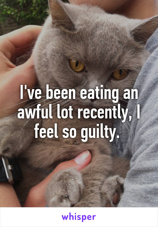 I've been eating an awful lot recently, I feel so guilty. 