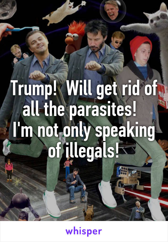 Trump!  Will get rid of all the parasites!   I'm not only speaking of illegals!