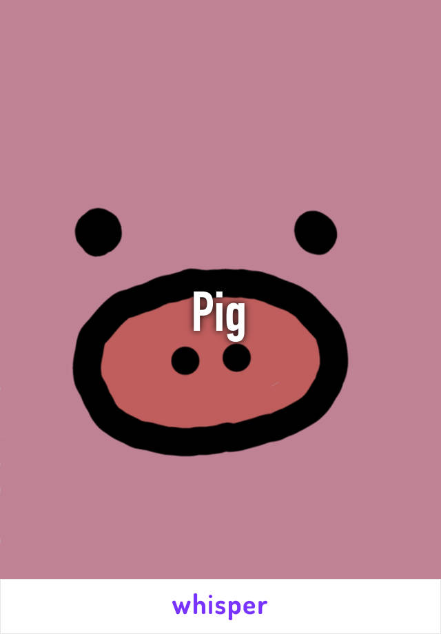 Pig