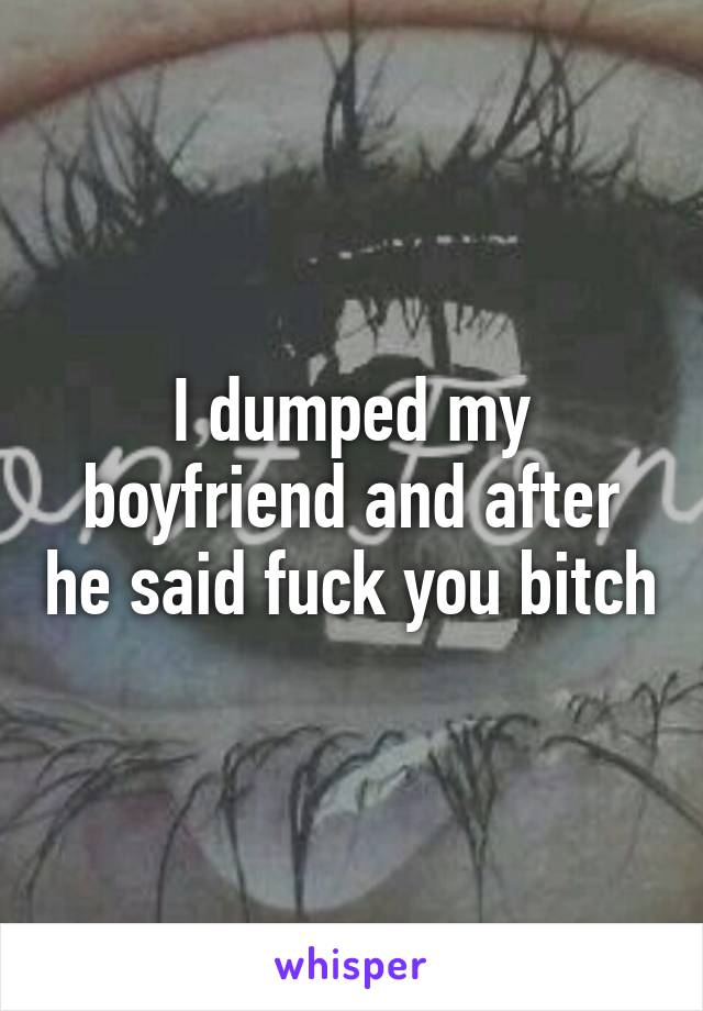 I dumped my boyfriend and after he said fuck you bitch