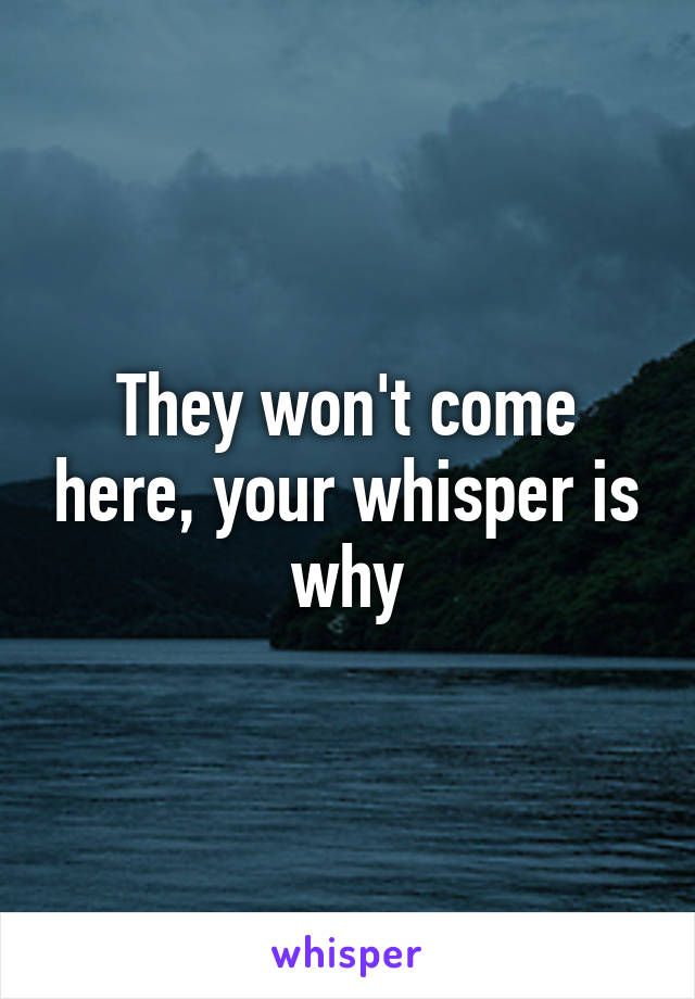 They won't come here, your whisper is why