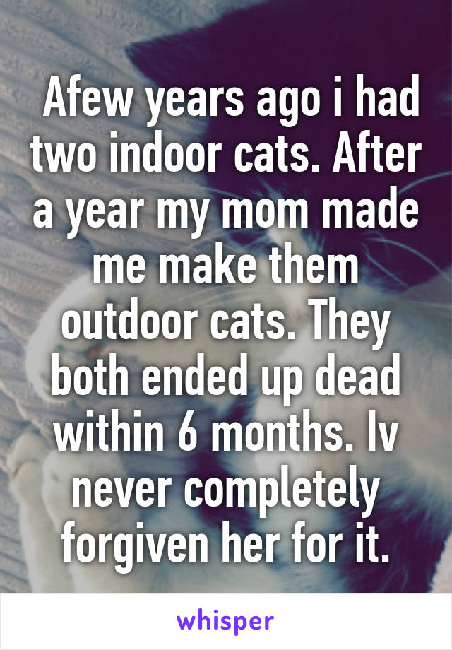  Afew years ago i had two indoor cats. After a year my mom made me make them outdoor cats. They both ended up dead within 6 months. Iv never completely forgiven her for it.