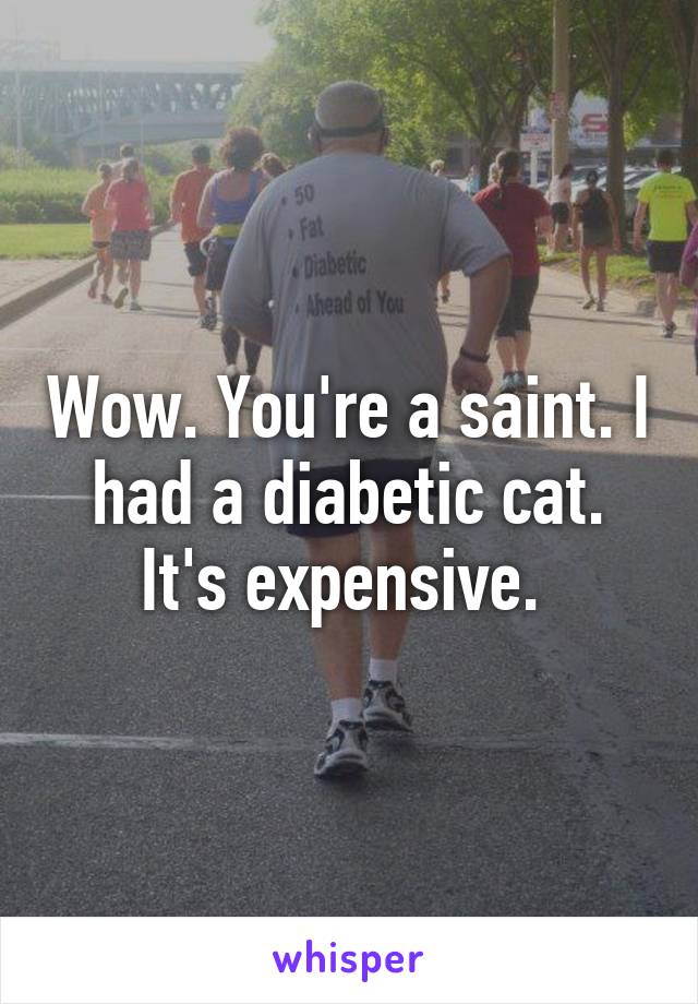 Wow. You're a saint. I had a diabetic cat. It's expensive. 