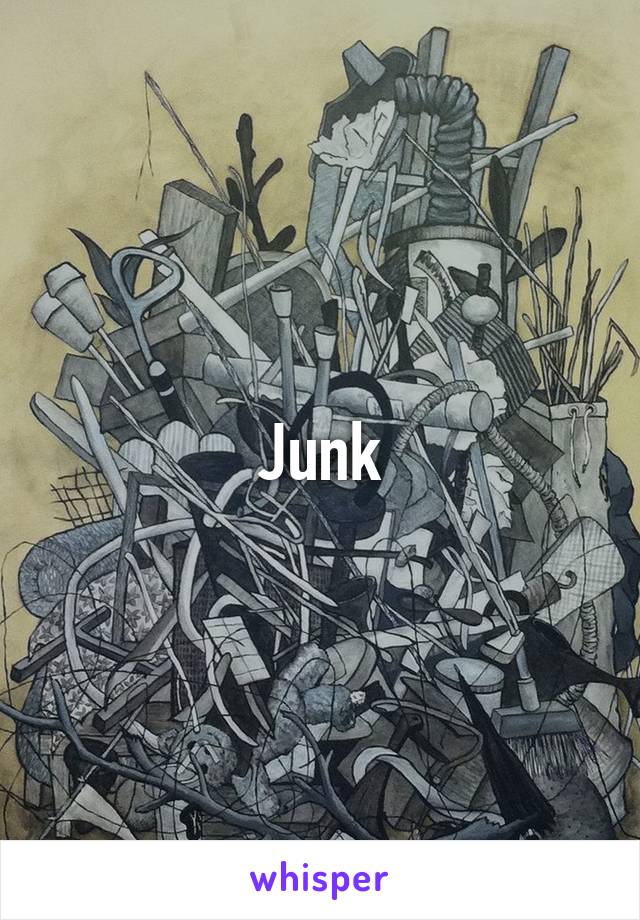 Junk