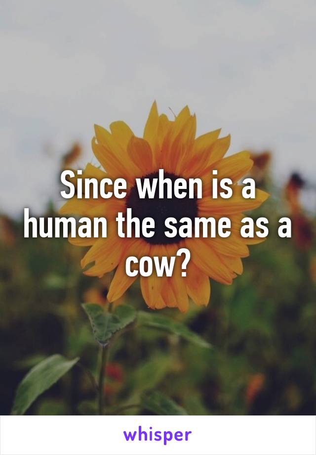 Since when is a human the same as a cow?