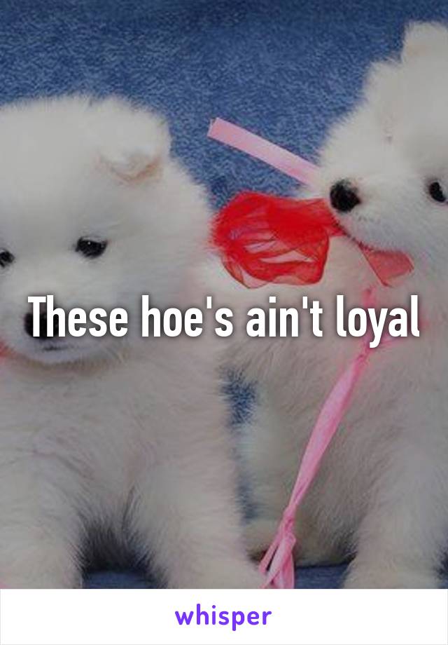 These hoe's ain't loyal