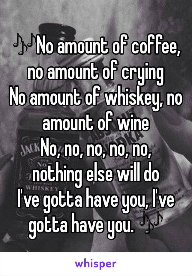 🎶No amount of coffee, no amount of crying
No amount of whiskey, no amount of wine
No, no, no, no, no,
nothing else will do
I've gotta have you, I've gotta have you. 🎶