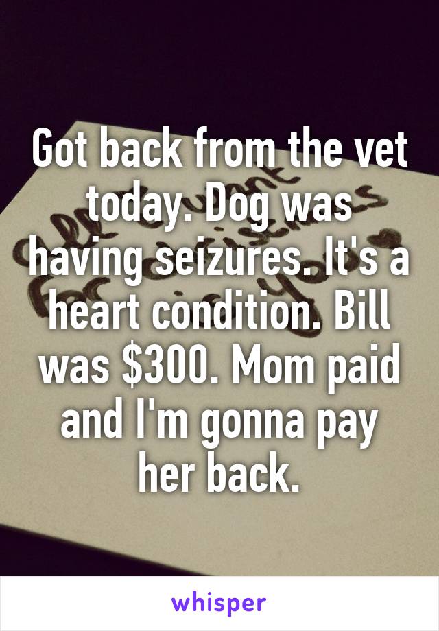 Got back from the vet today. Dog was having seizures. It's a heart condition. Bill was $300. Mom paid and I'm gonna pay her back.