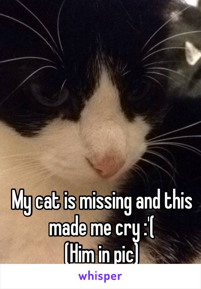 My cat is missing and this made me cry :'( 
(Him in pic) 