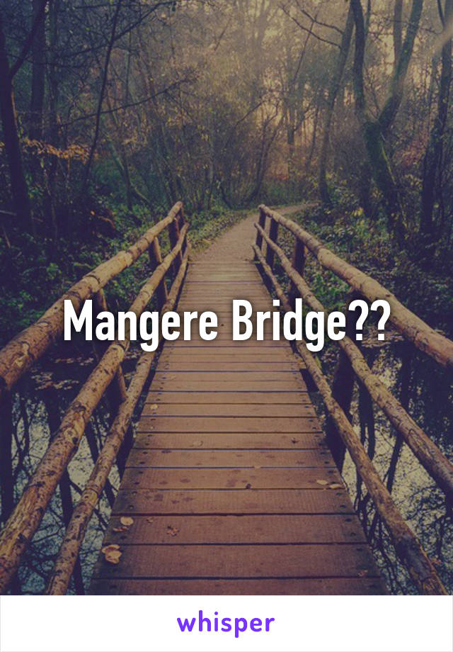 Mangere Bridge??