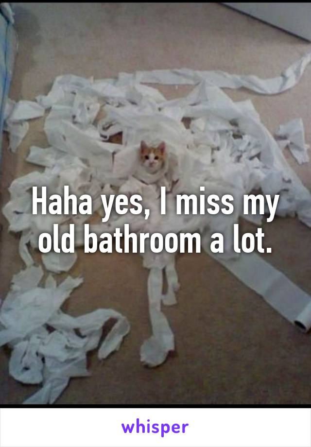 Haha yes, I miss my old bathroom a lot.