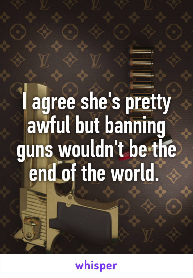 I agree she's pretty awful but banning guns wouldn't be the end of the world. 