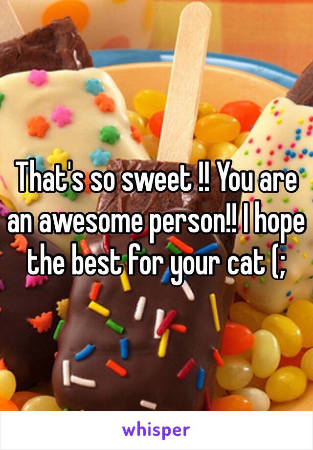 That's so sweet !! You are an awesome person!! I hope the best for your cat (; 