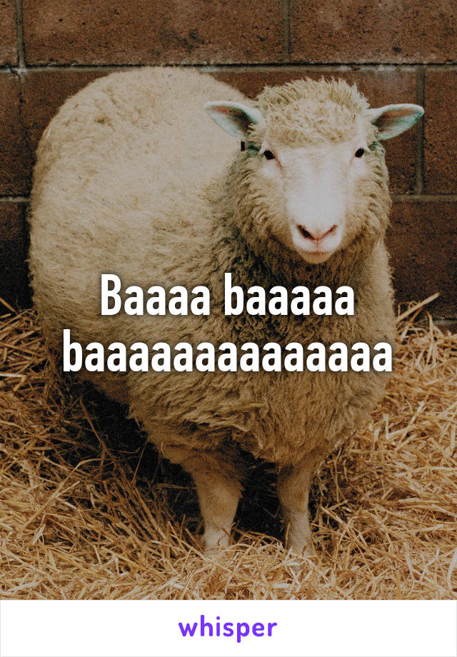 Baaaa baaaaa baaaaaaaaaaaaaa