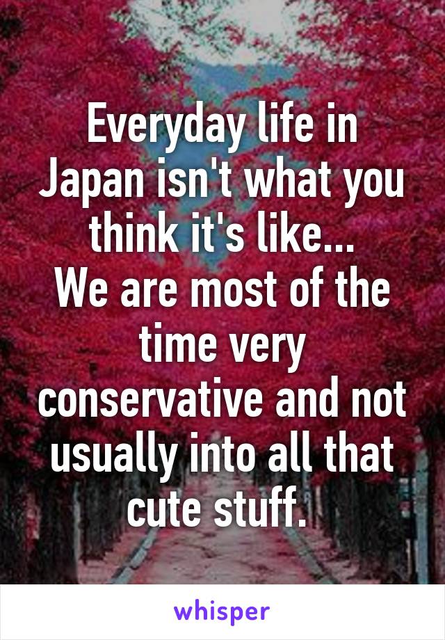 Everyday life in Japan isn't what you think it's like...
We are most of the time very conservative and not usually into all that cute stuff. 