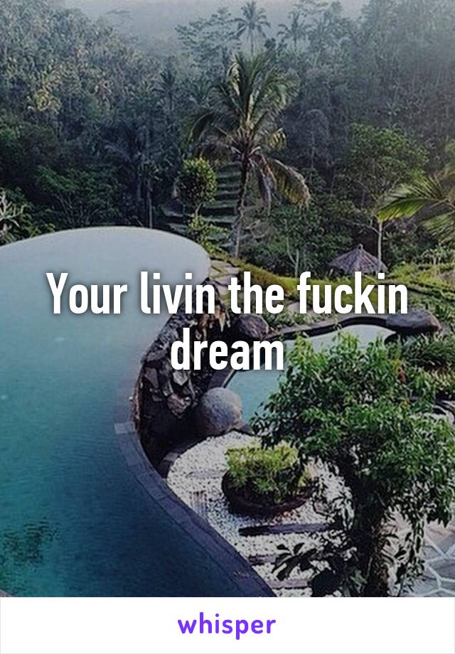 Your livin the fuckin dream