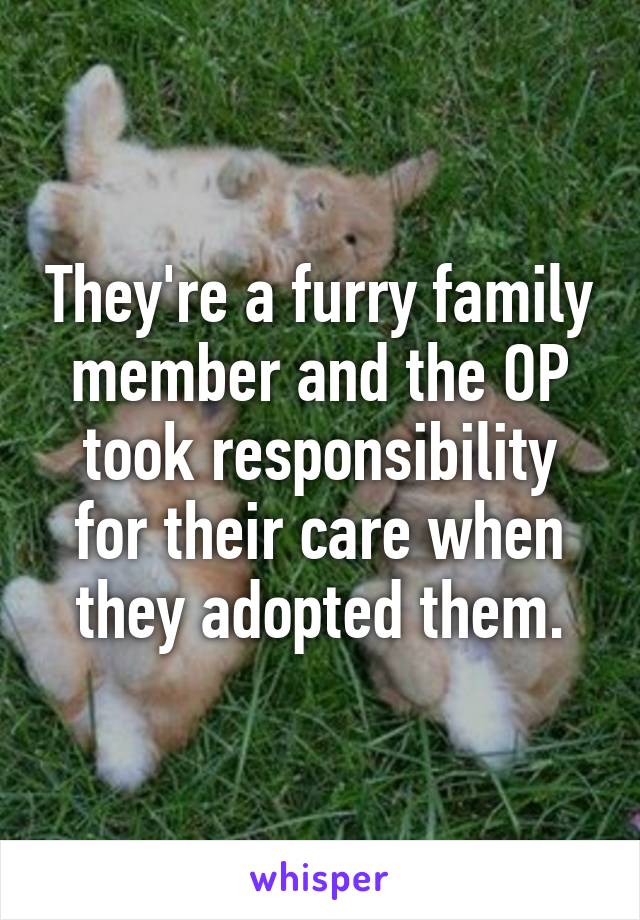 They're a furry family member and the OP took responsibility for their care when they adopted them.