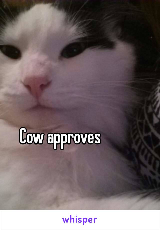 Cow approves 