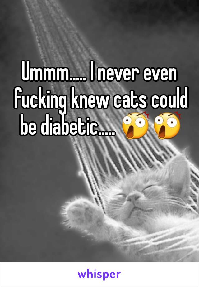 Ummm..... I never even fucking knew cats could be diabetic..... 😲😲