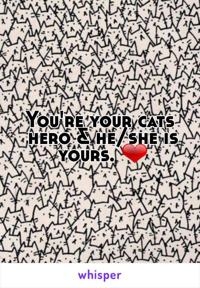 You're your cats hero & he/she is yours. ❤