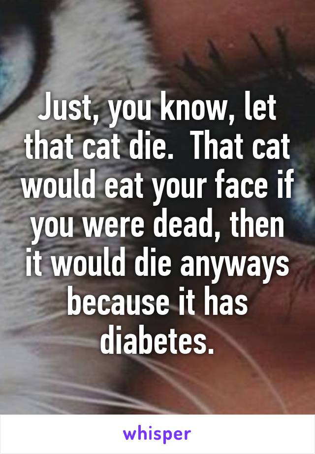 Just, you know, let that cat die.  That cat would eat your face if you were dead, then it would die anyways because it has diabetes.