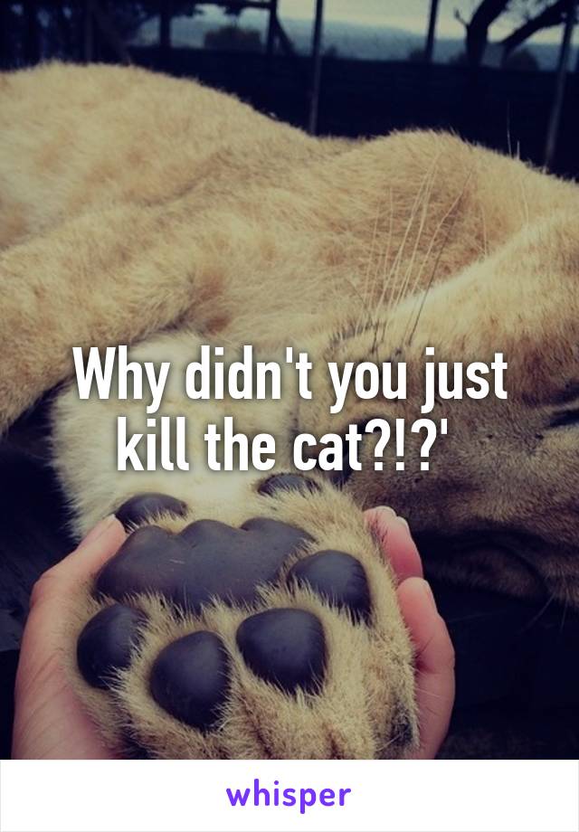 Why didn't you just kill the cat?!?' 