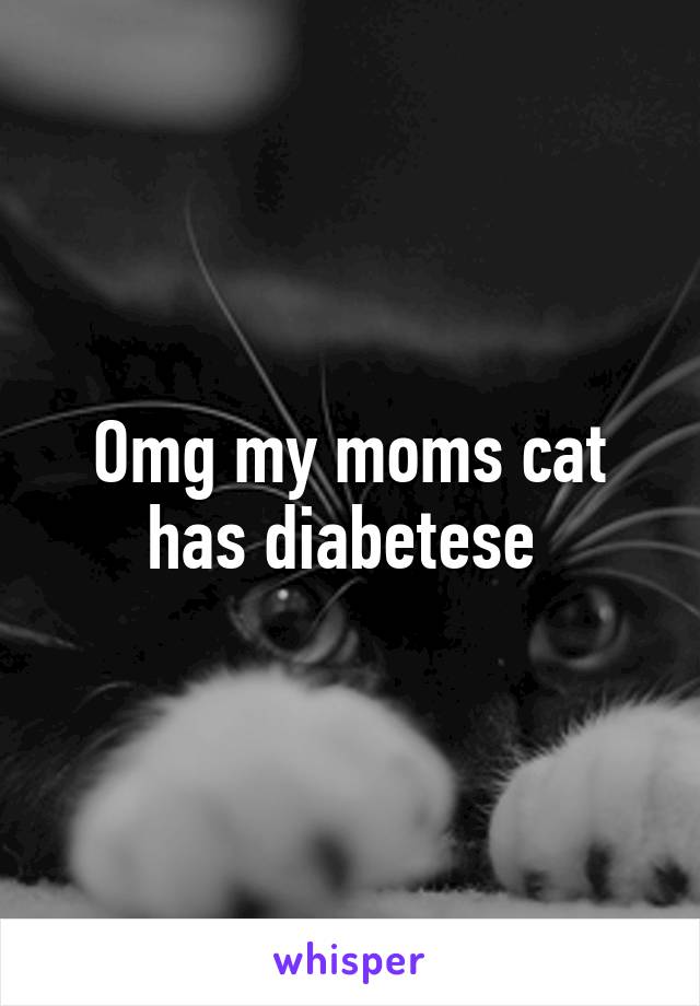 Omg my moms cat has diabetese 